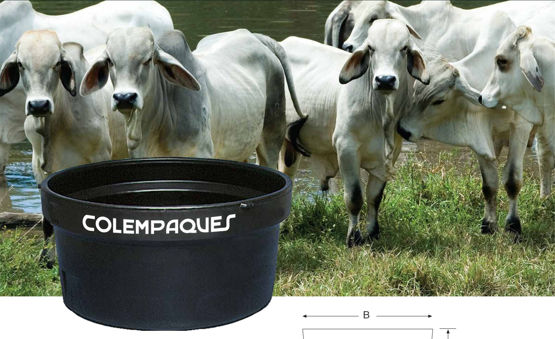 DEPÓSITO DE LÍQUIDOS